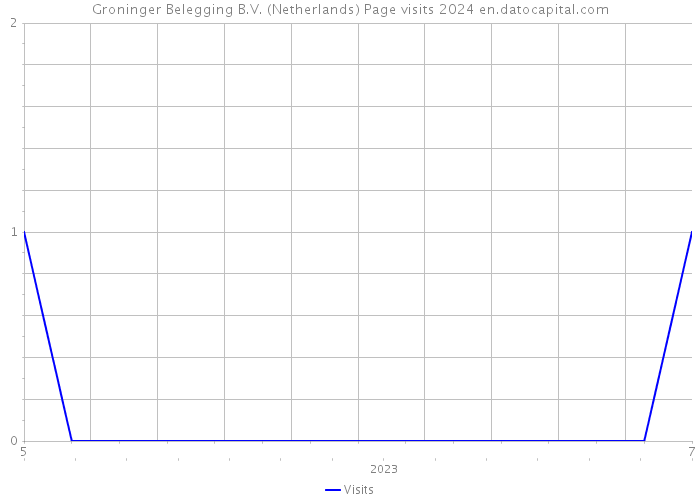Groninger Belegging B.V. (Netherlands) Page visits 2024 