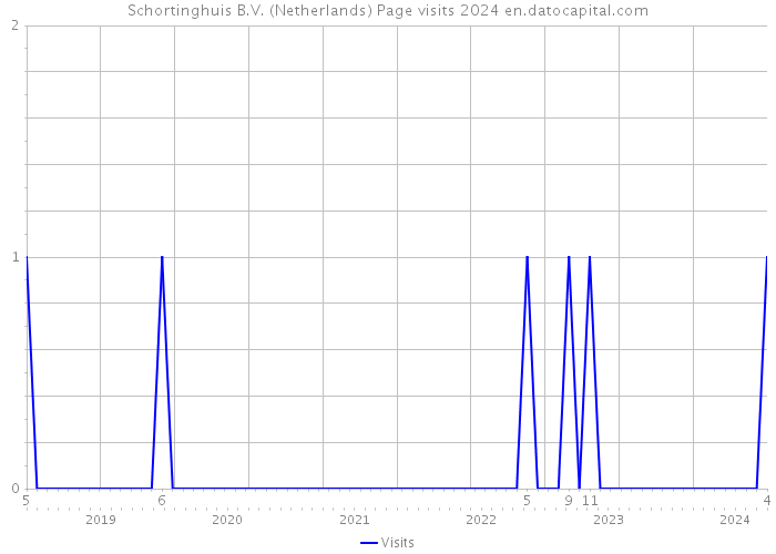 Schortinghuis B.V. (Netherlands) Page visits 2024 