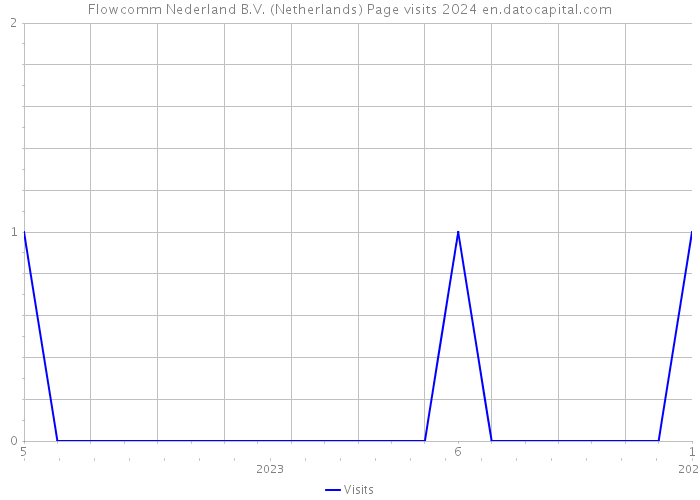 Flowcomm Nederland B.V. (Netherlands) Page visits 2024 