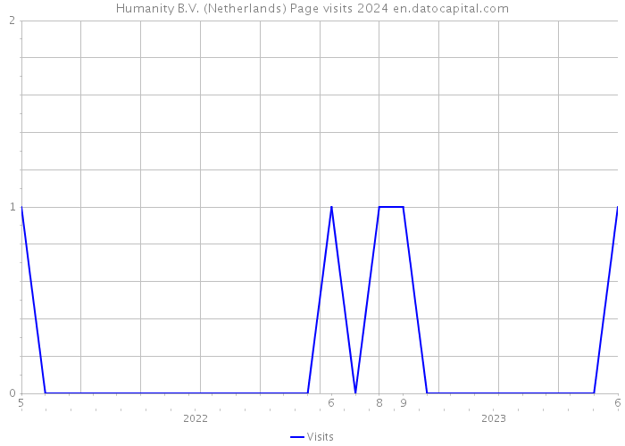 Humanity B.V. (Netherlands) Page visits 2024 