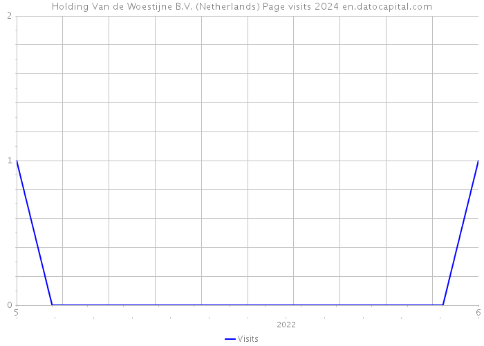 Holding Van de Woestijne B.V. (Netherlands) Page visits 2024 