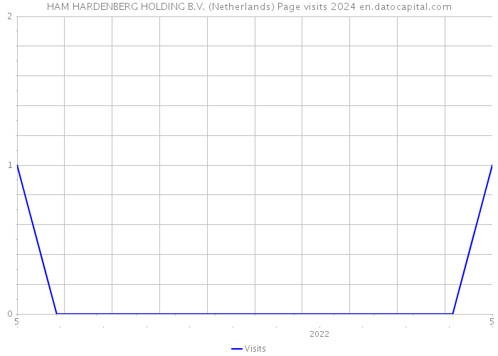 HAM HARDENBERG HOLDING B.V. (Netherlands) Page visits 2024 