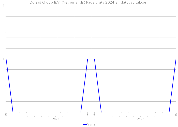 Dorset Group B.V. (Netherlands) Page visits 2024 