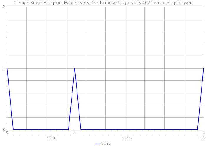 Cannon Street European Holdings B.V. (Netherlands) Page visits 2024 