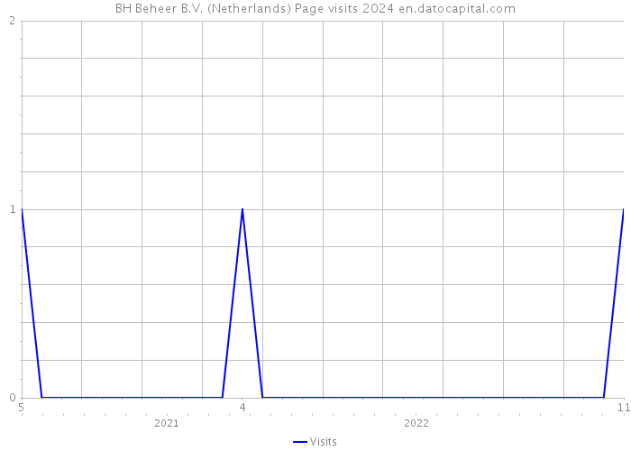 BH Beheer B.V. (Netherlands) Page visits 2024 