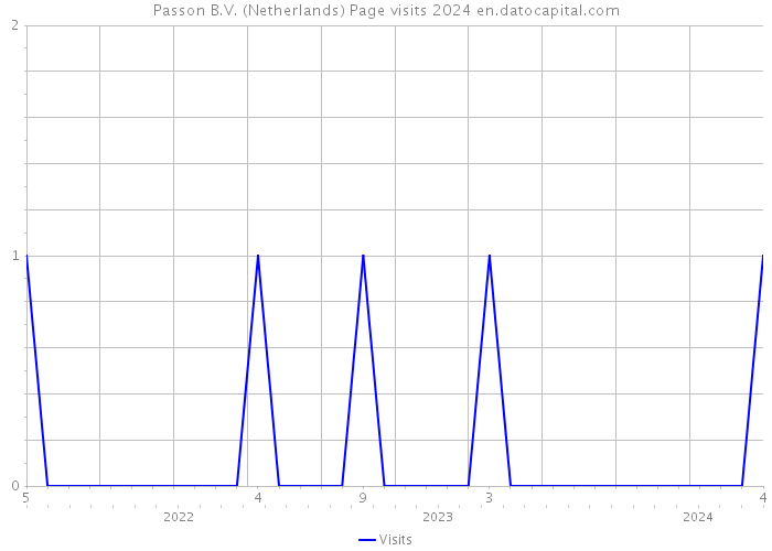 Passon B.V. (Netherlands) Page visits 2024 