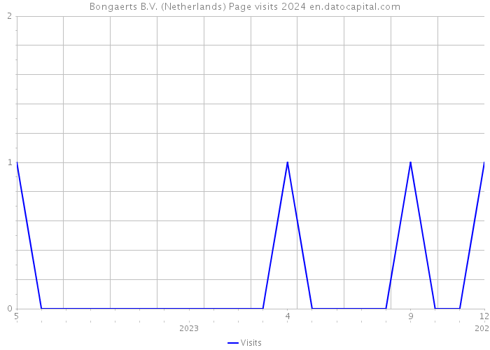 Bongaerts B.V. (Netherlands) Page visits 2024 