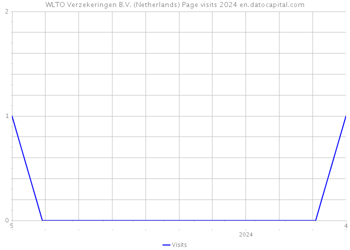 WLTO Verzekeringen B.V. (Netherlands) Page visits 2024 