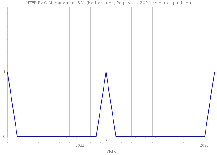 INTER RAO Management B.V. (Netherlands) Page visits 2024 