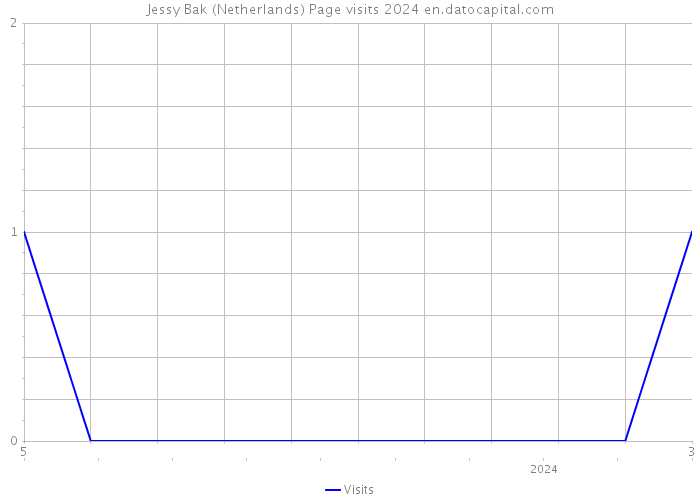 Jessy Bak (Netherlands) Page visits 2024 