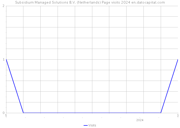 Subsidium Managed Solutions B.V. (Netherlands) Page visits 2024 