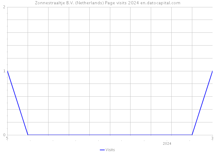 Zonnestraaltje B.V. (Netherlands) Page visits 2024 