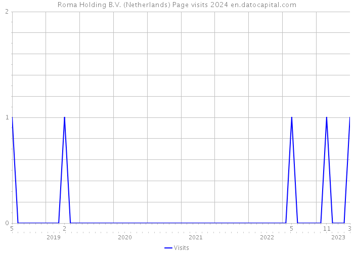 Roma Holding B.V. (Netherlands) Page visits 2024 