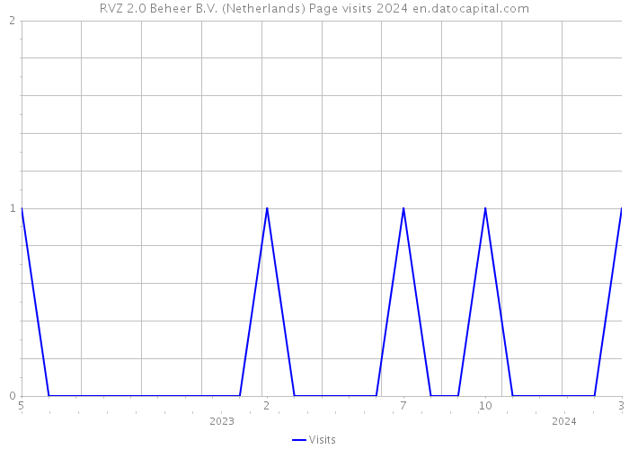 RVZ 2.0 Beheer B.V. (Netherlands) Page visits 2024 