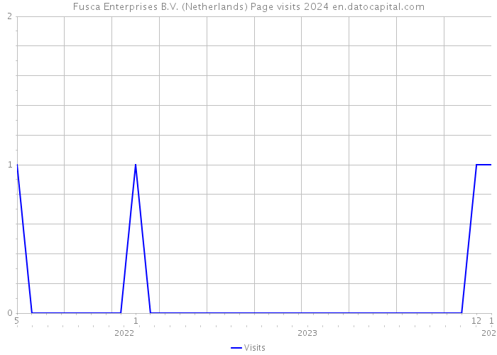 Fusca Enterprises B.V. (Netherlands) Page visits 2024 