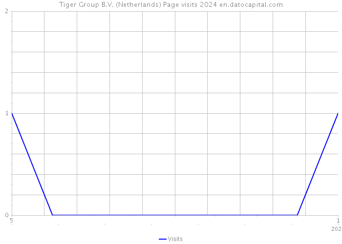 Tiger Group B.V. (Netherlands) Page visits 2024 