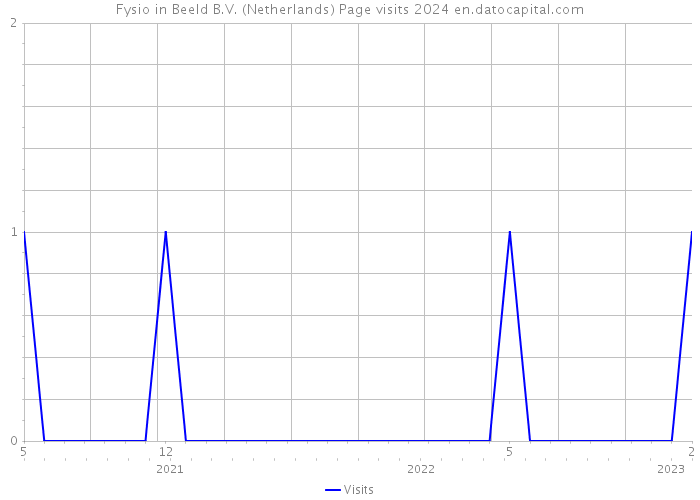 Fysio in Beeld B.V. (Netherlands) Page visits 2024 