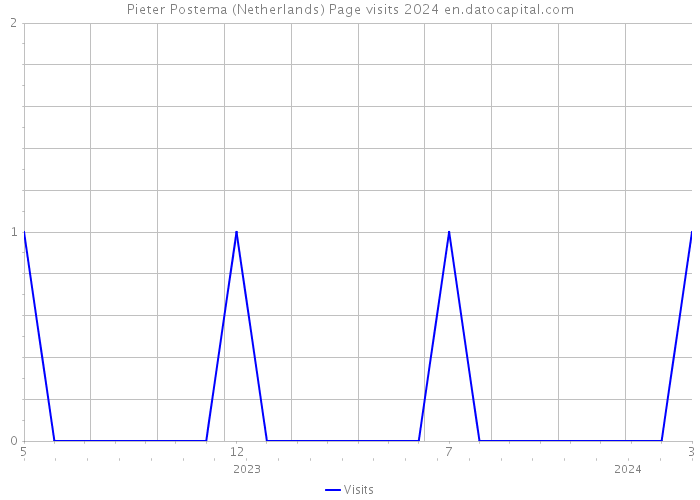 Pieter Postema (Netherlands) Page visits 2024 