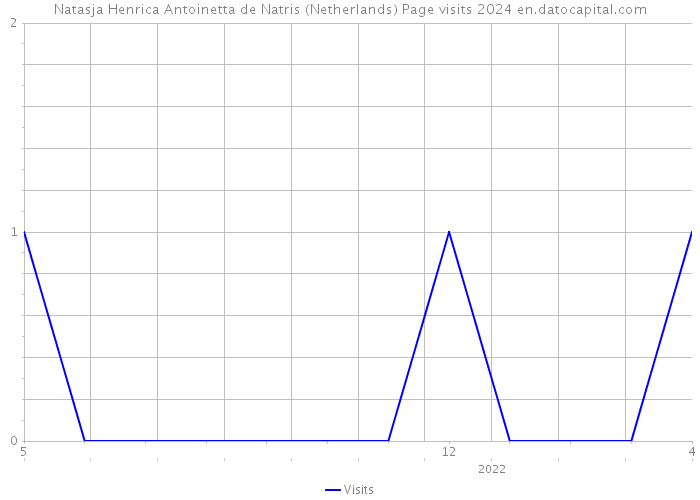 Natasja Henrica Antoinetta de Natris (Netherlands) Page visits 2024 