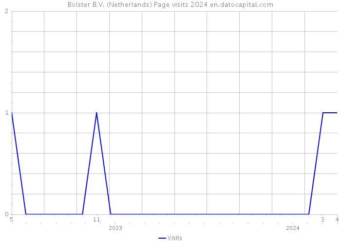 Bolster B.V. (Netherlands) Page visits 2024 