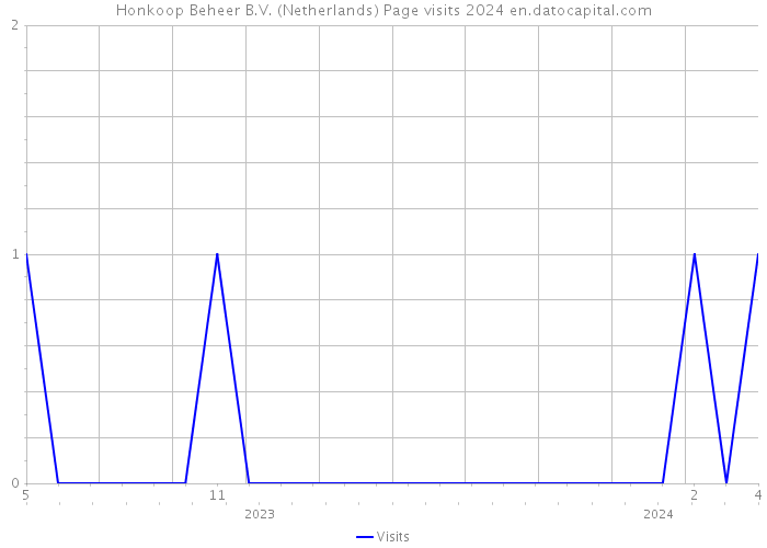 Honkoop Beheer B.V. (Netherlands) Page visits 2024 