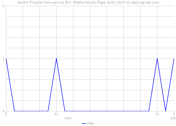 Senbis Polymer Innovations B.V. (Netherlands) Page visits 2024 