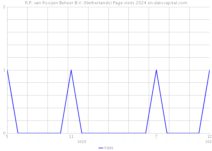 R.P. van Rooijen Beheer B.V. (Netherlands) Page visits 2024 