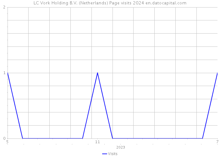 LC Vork Holding B.V. (Netherlands) Page visits 2024 