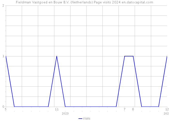 Fieldman Vastgoed en Bouw B.V. (Netherlands) Page visits 2024 