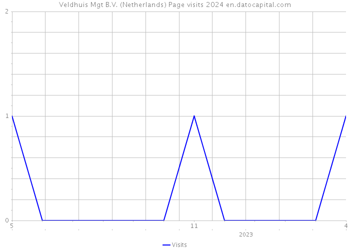 Veldhuis Mgt B.V. (Netherlands) Page visits 2024 