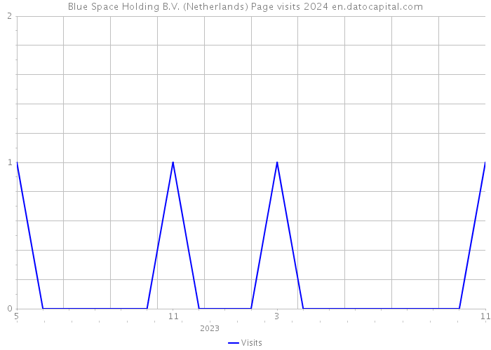Blue Space Holding B.V. (Netherlands) Page visits 2024 