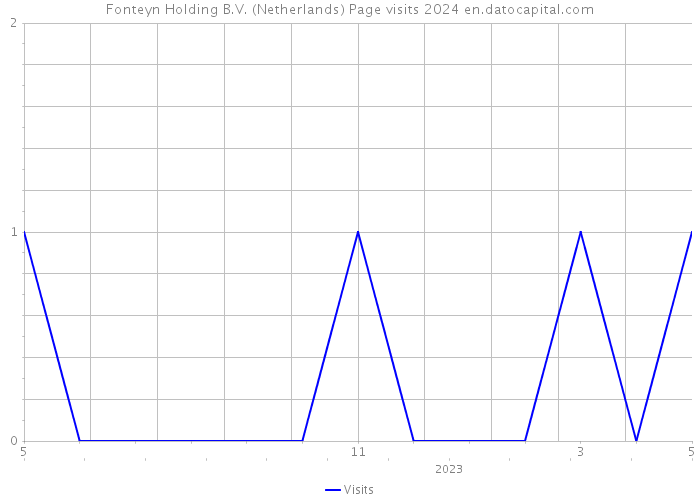 Fonteyn Holding B.V. (Netherlands) Page visits 2024 