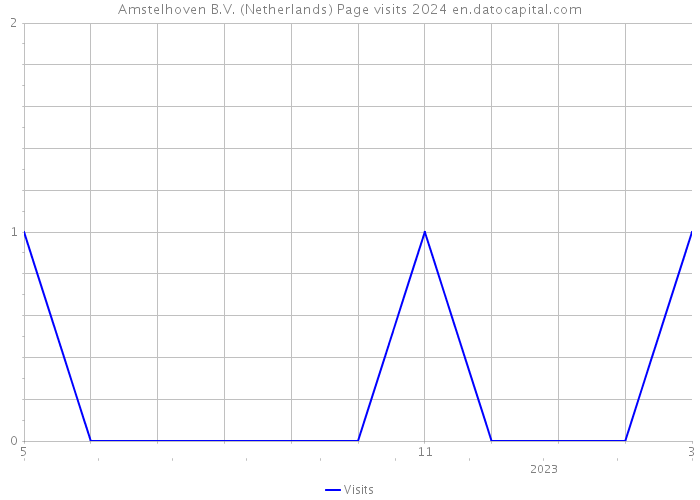 Amstelhoven B.V. (Netherlands) Page visits 2024 