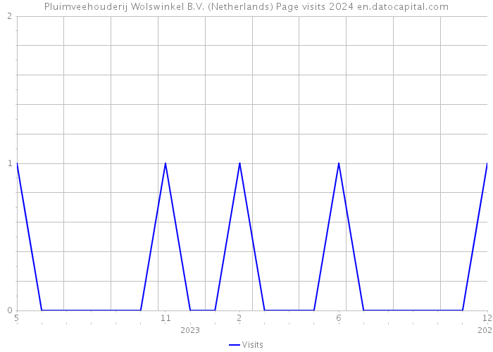 Pluimveehouderij Wolswinkel B.V. (Netherlands) Page visits 2024 