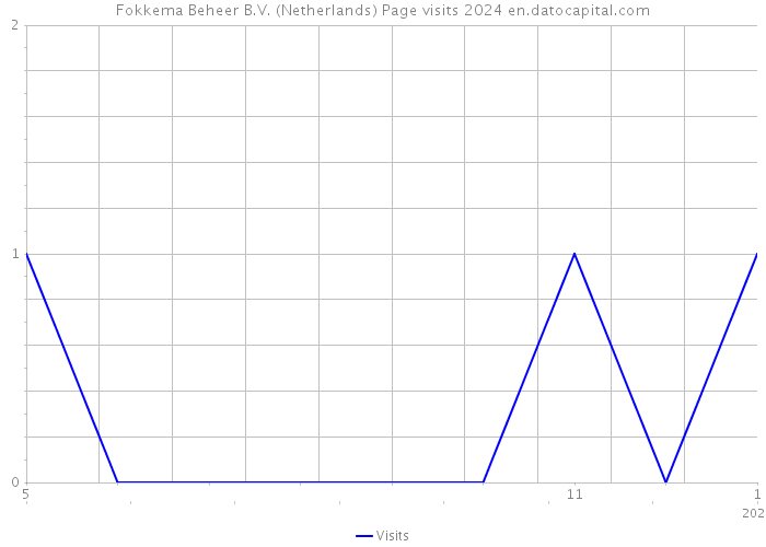 Fokkema Beheer B.V. (Netherlands) Page visits 2024 