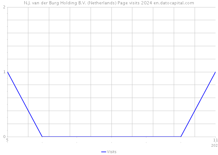 N.J. van der Burg Holding B.V. (Netherlands) Page visits 2024 