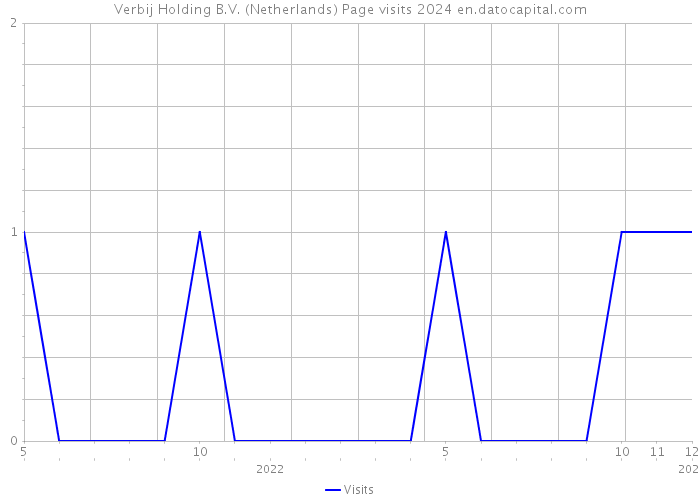 Verbij Holding B.V. (Netherlands) Page visits 2024 