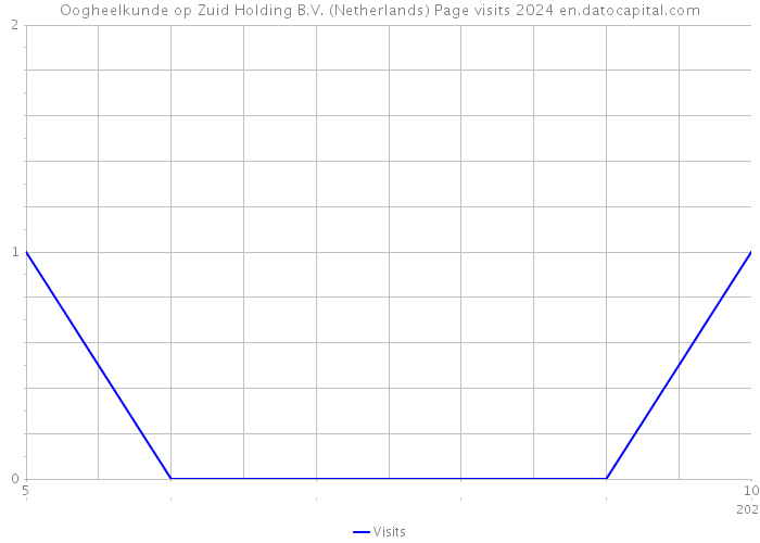 Oogheelkunde op Zuid Holding B.V. (Netherlands) Page visits 2024 