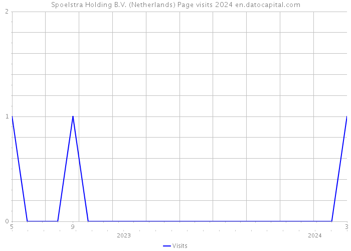 Spoelstra Holding B.V. (Netherlands) Page visits 2024 