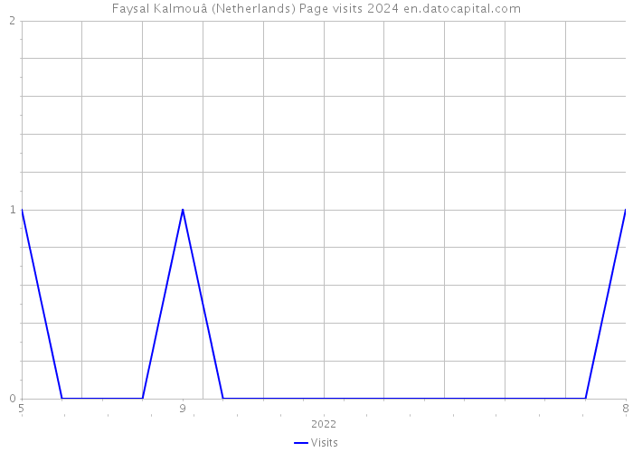 Faysal Kalmouâ (Netherlands) Page visits 2024 