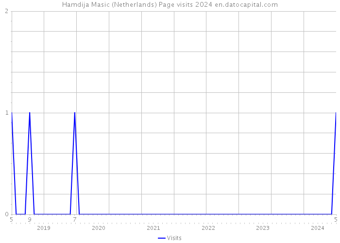 Hamdija Masic (Netherlands) Page visits 2024 