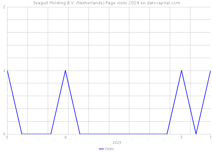 Seagull Holding B.V. (Netherlands) Page visits 2024 