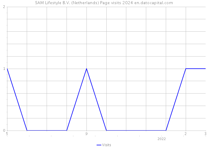 SAM Lifestyle B.V. (Netherlands) Page visits 2024 