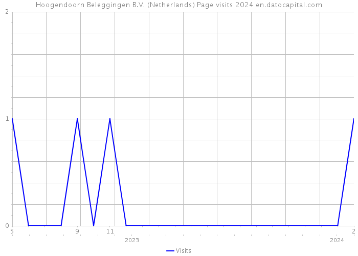 Hoogendoorn Beleggingen B.V. (Netherlands) Page visits 2024 