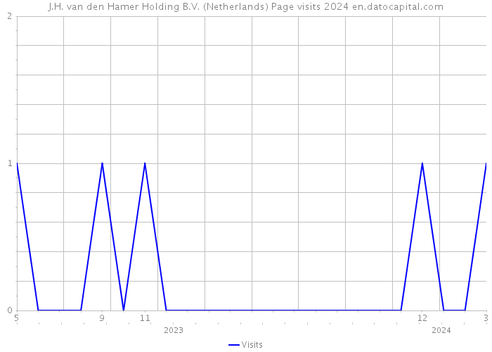 J.H. van den Hamer Holding B.V. (Netherlands) Page visits 2024 