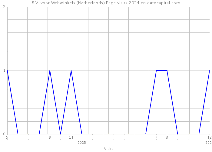 B.V. voor Webwinkels (Netherlands) Page visits 2024 