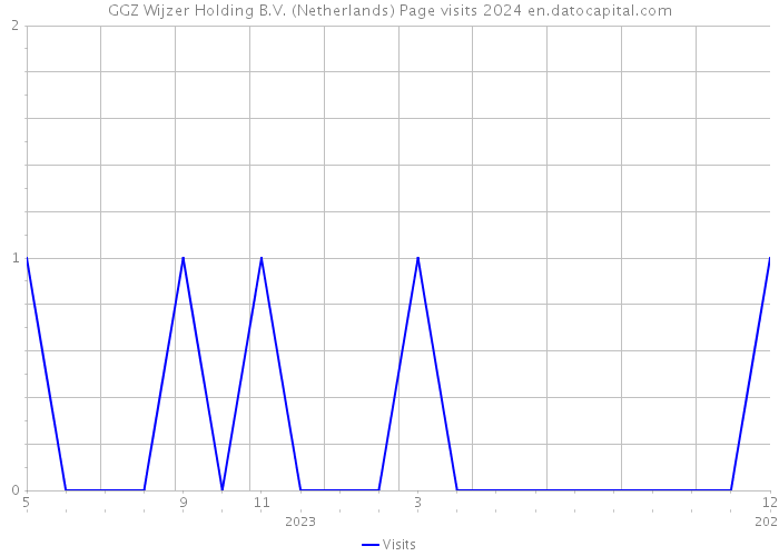 GGZ Wijzer Holding B.V. (Netherlands) Page visits 2024 