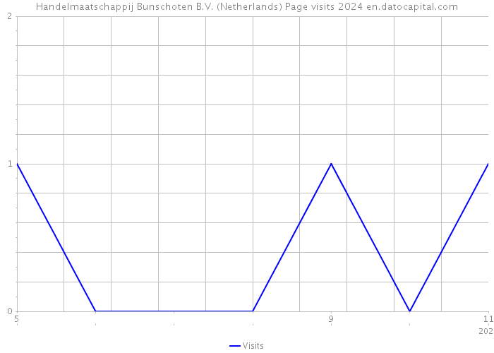 Handelmaatschappij Bunschoten B.V. (Netherlands) Page visits 2024 