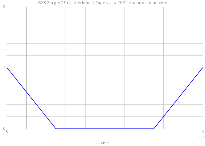 WZB Zorg VOF (Netherlands) Page visits 2024 