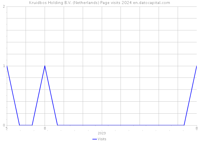 Kruidbos Holding B.V. (Netherlands) Page visits 2024 